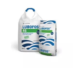 LUBOFOS RS, любофос для олійних, NPK (Ca,Mg,S) 3,5-8-21-(2-2,5-15,5) с бором (B) 0,2